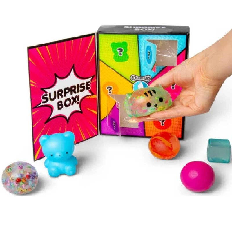 (Pre-Order) Scrunchems Surprise Box (Available in September)