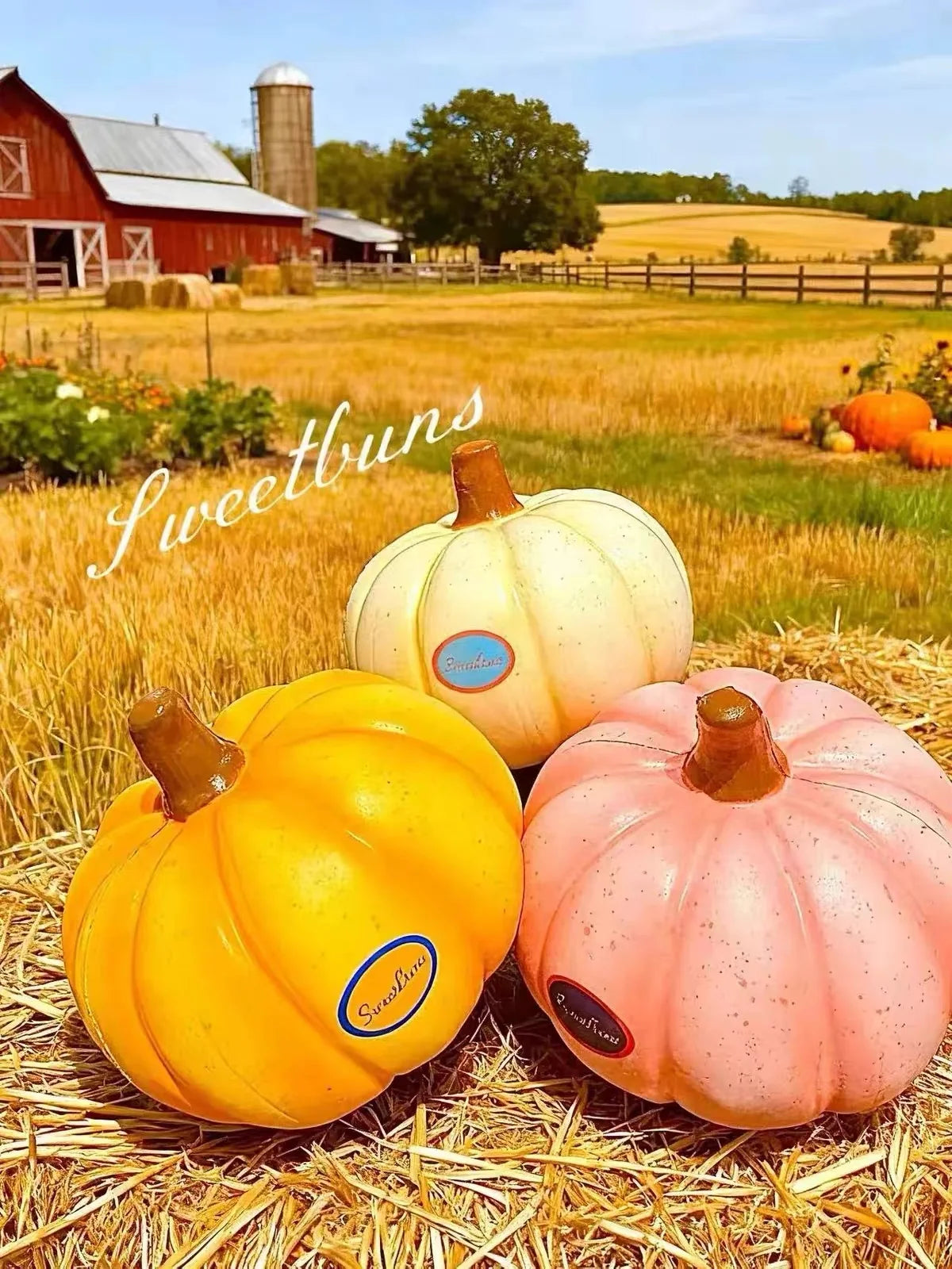 Sweetbuns Pumpkin Squishy