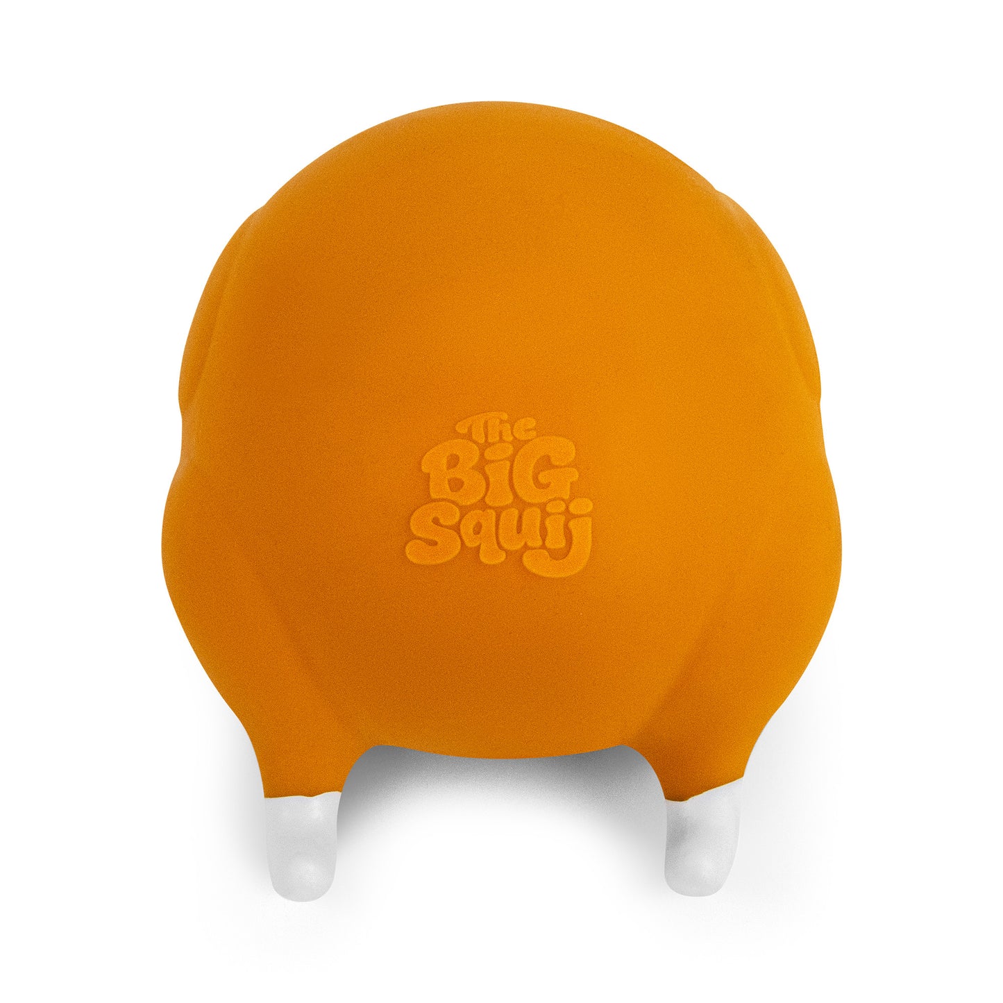 (Pre-Order D2) The Big Squij Turkey Slow-Rise Squishy Toy (Available in October)