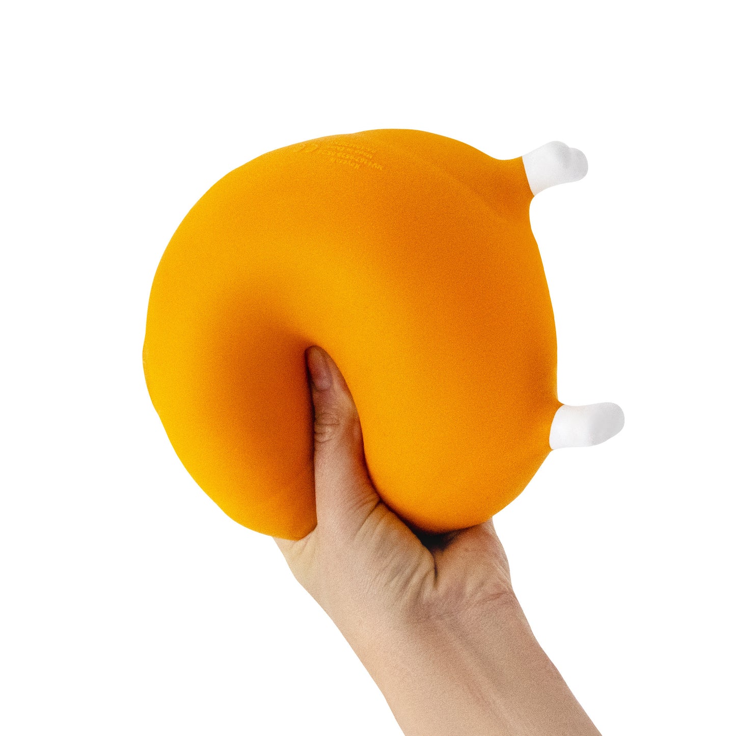 (Pre-Order D2) The Big Squij Turkey Slow-Rise Squishy Toy (Available in October)