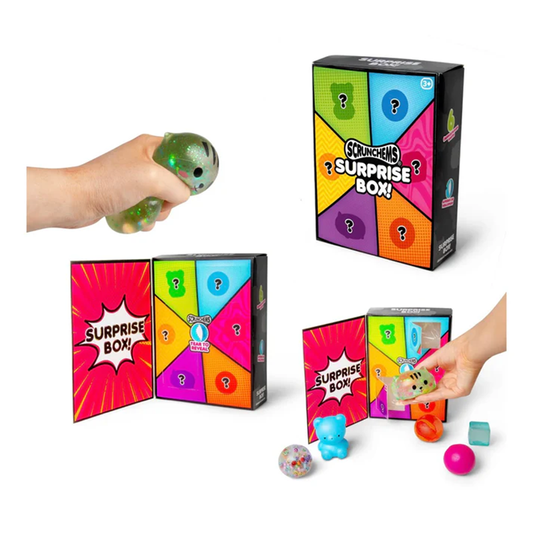 (Pre-Order) Scrunchems Surprise Box (Available in September)