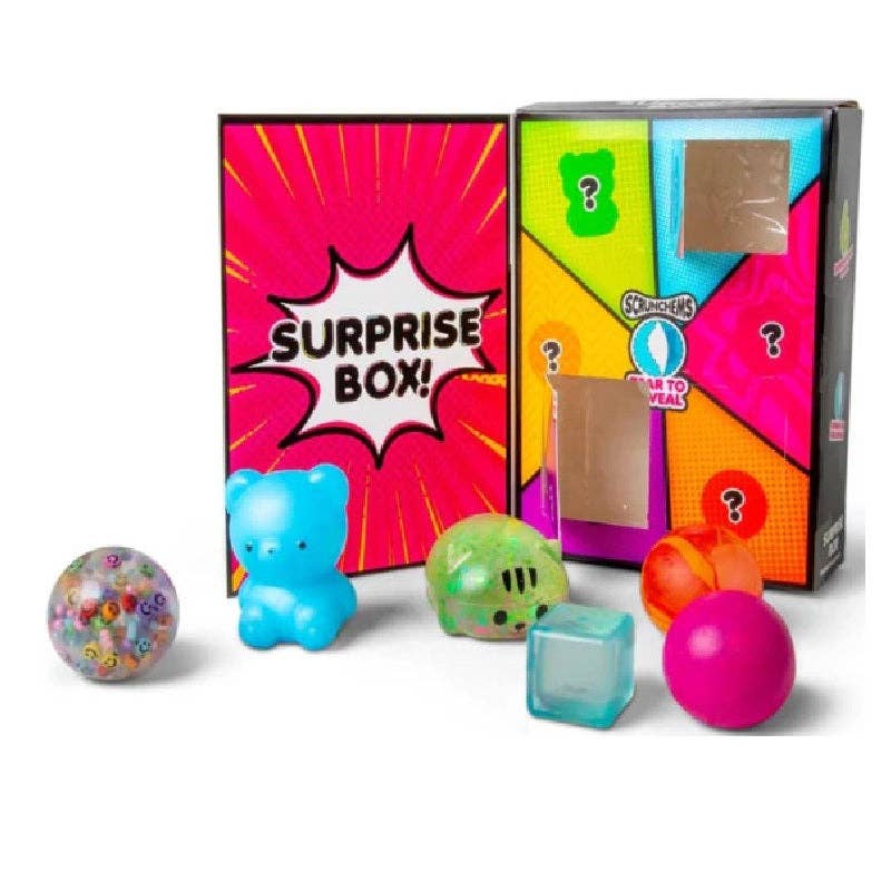 (Pre-Order) Scrunchems Surprise Box (Available in September)